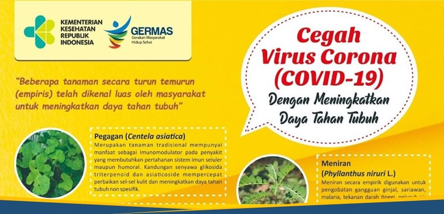 6 Herbal Tingkatkan Imunitas, Rekomendasi Kemenkes 6 Herbal Tingkatkan Imunitas, Rekomendasi Kemenkes